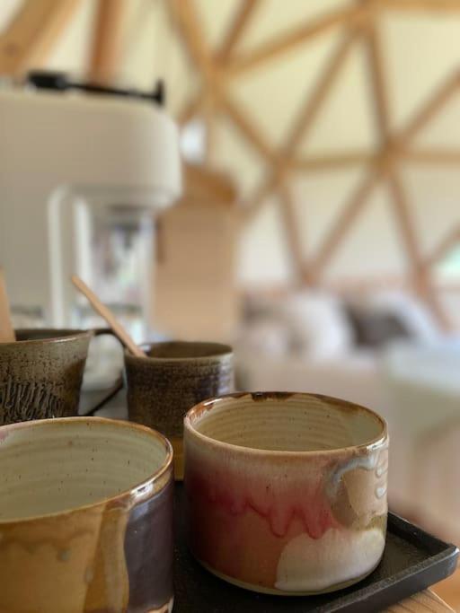 Dome Insolite Lichen Jacuzzi Et Petits-Dejeuners Inclus Gondrin المظهر الخارجي الصورة