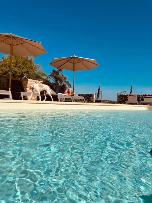 Dome Insolite Lichen Jacuzzi Et Petits-Dejeuners Inclus Gondrin المظهر الخارجي الصورة